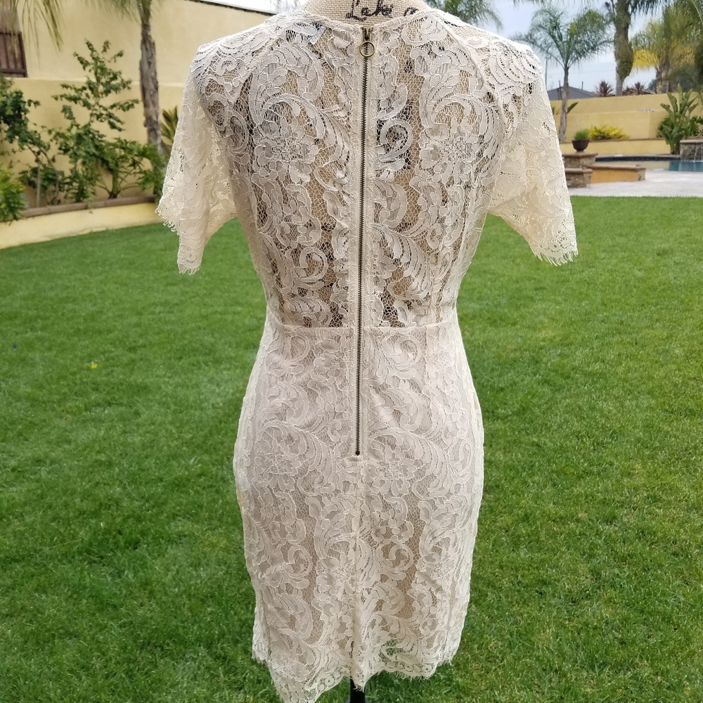 Lace dress - Picture 4 of 6